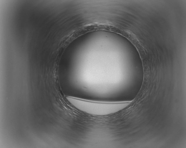 X0000072931110200607210925