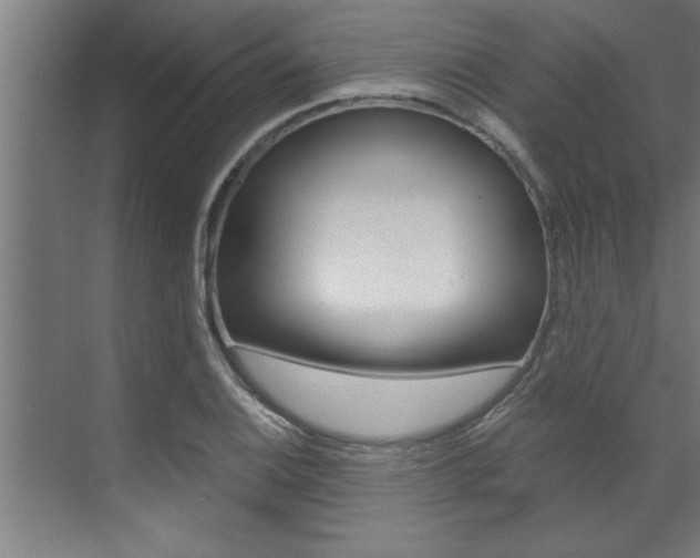 X0000072931124200607210925