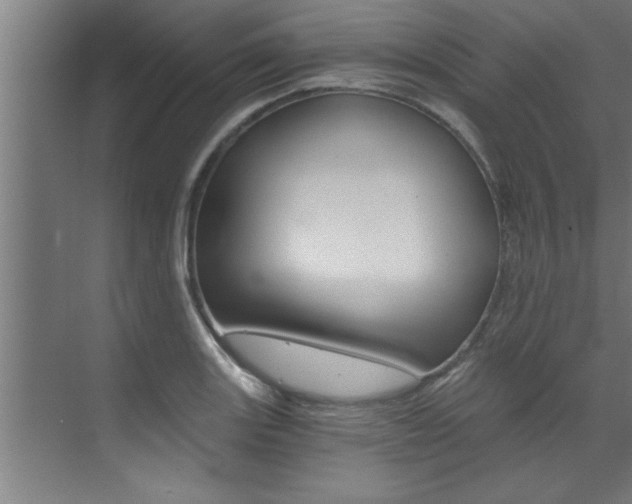 X0000072931131200607210925