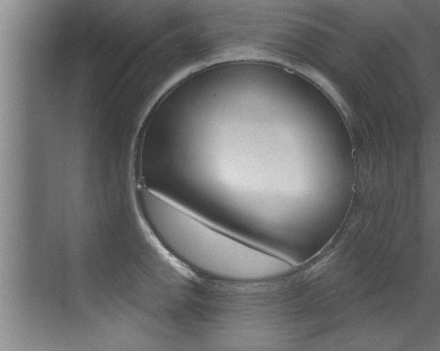 X0000072931142200607210925