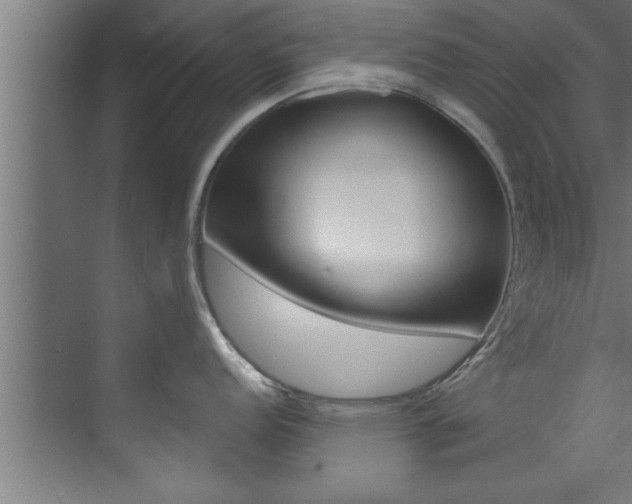 X0000072931152200607210925