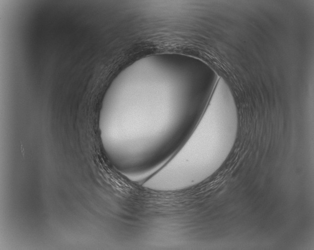 X0000072931153200607210924