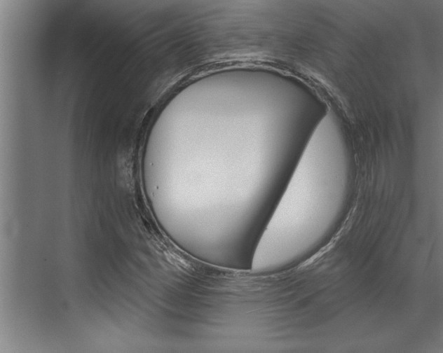 X0000072931162200607210924
