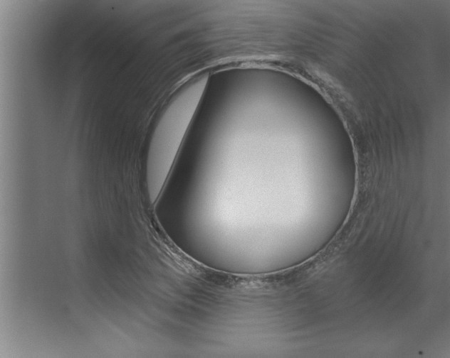 X0000072931169200607210924