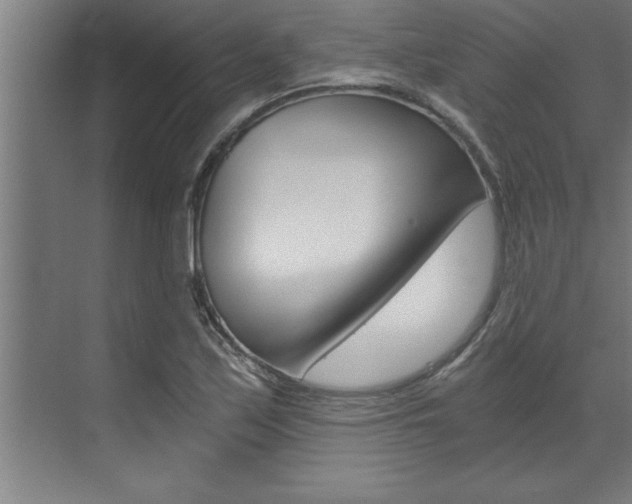 X0000072931171200607210924
