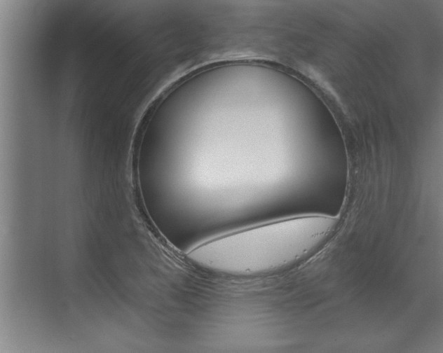 X0000072931173200607210924