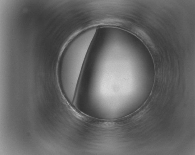 X0000072931180200607210924