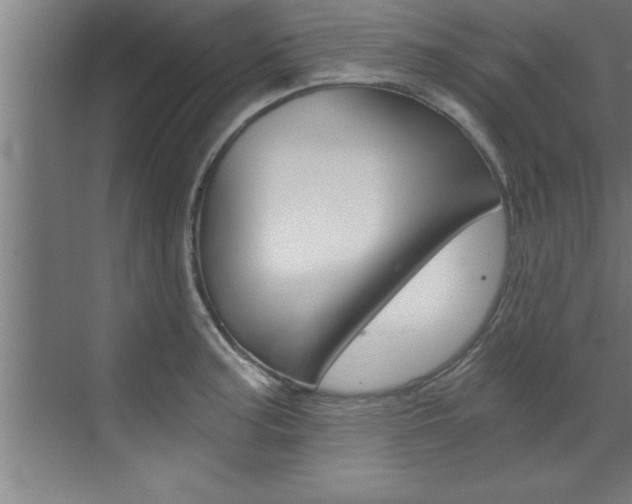 X0000072931187200607210924