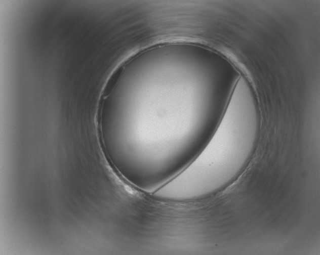 X0000072931189200607210924