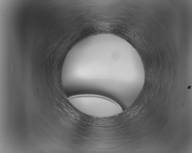 X0000072931201200607210923