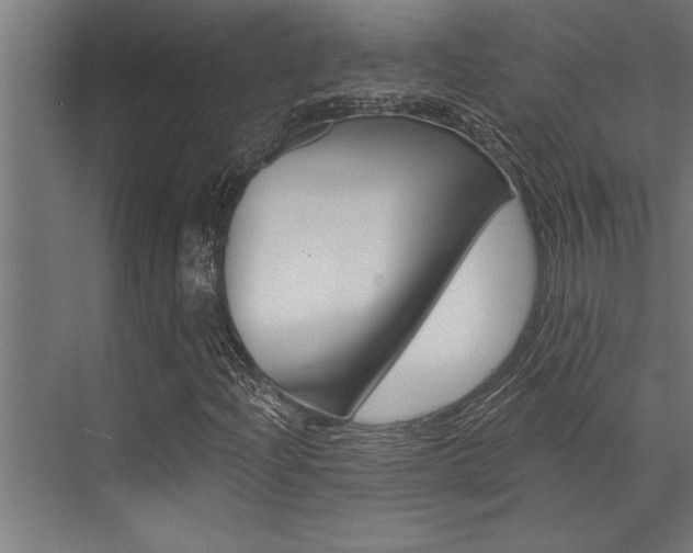 X0000072931204200607210923