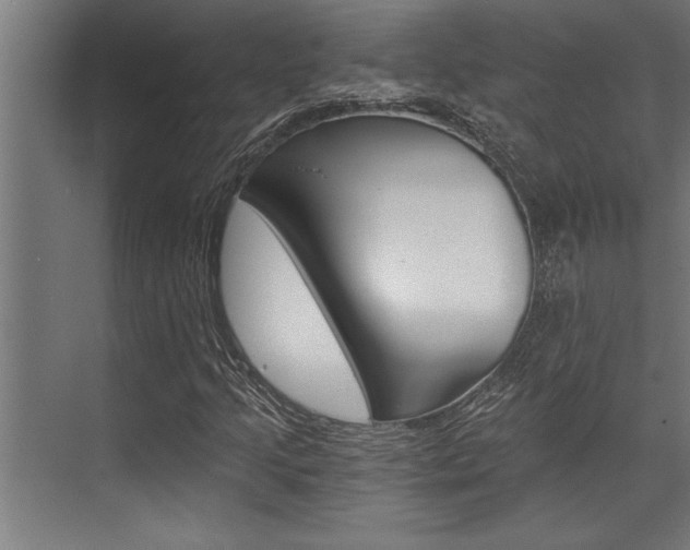 X0000072931205200607210923