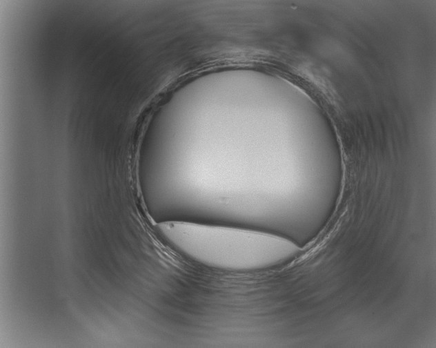 X0000072931211200607210923