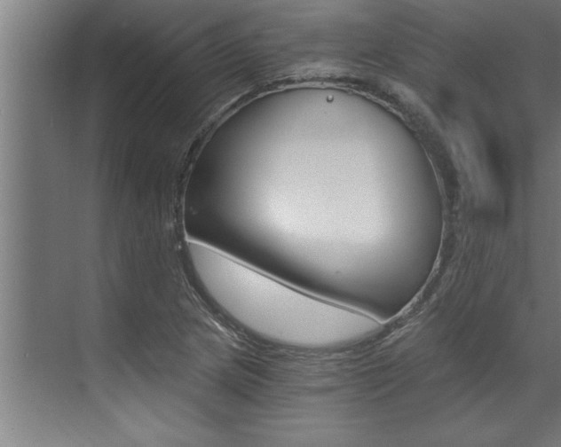 X0000072931217200607210923