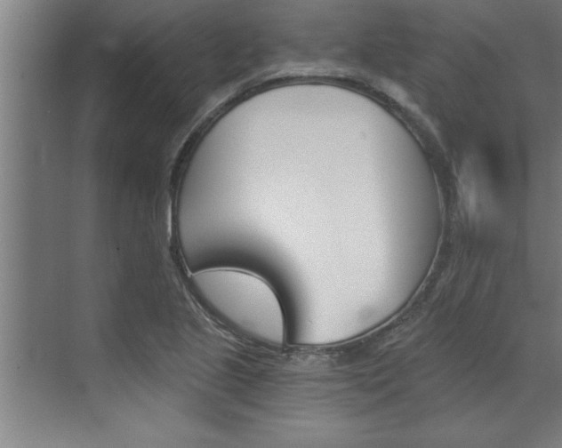 X0000072931221200607210923