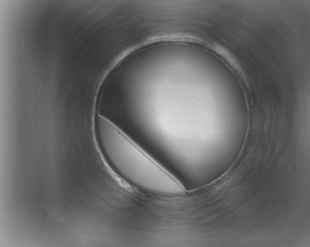 X0000072931237200607210924