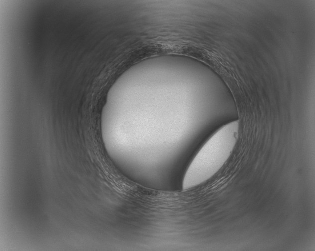 X0000072931249200607210923