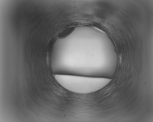 X0000072931251200607210923