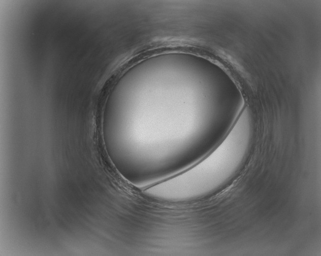 X0000072931261200607210923
