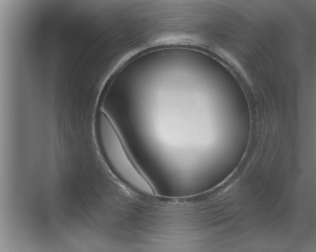 X0000072931277200607210922