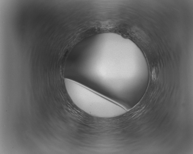 X0000072931299200607210921