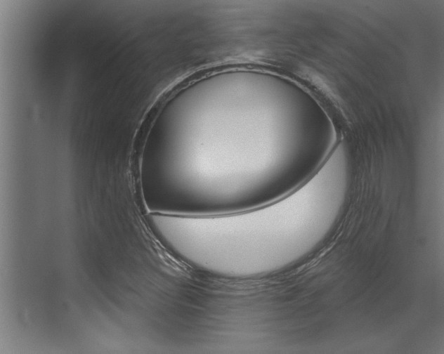 X0000072931308200607210921
