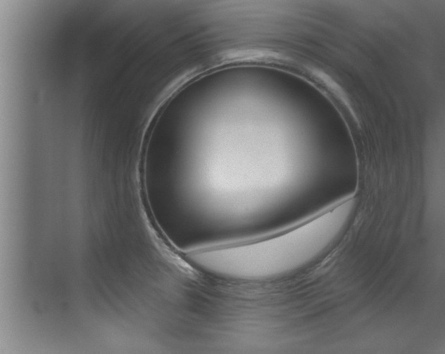 X0000072931330200607210922