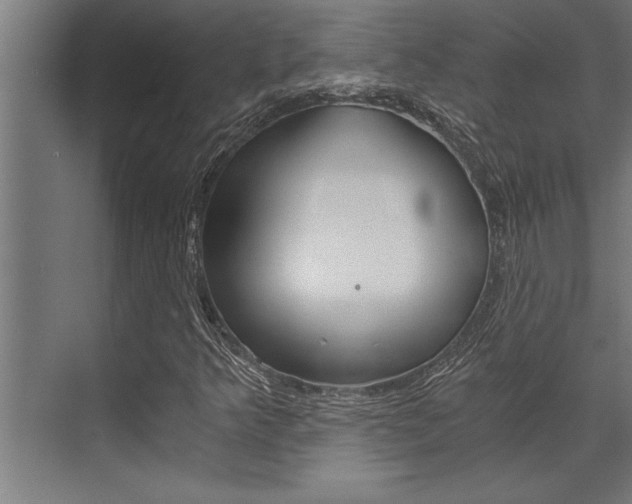 X0000072931349200607210921