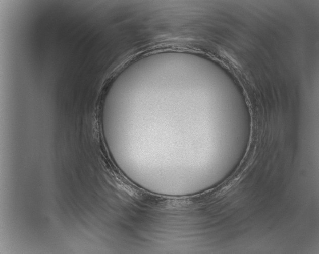 X0000072931354200607210921