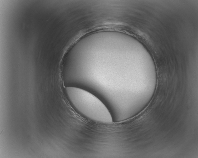 X0000072931362200607210921