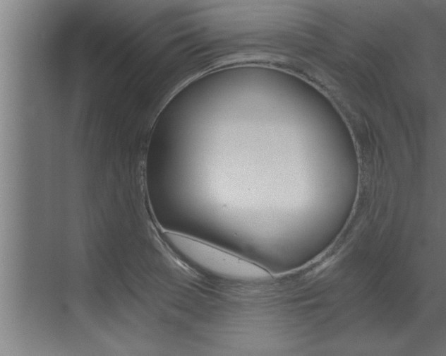 X0000072931369200607210921