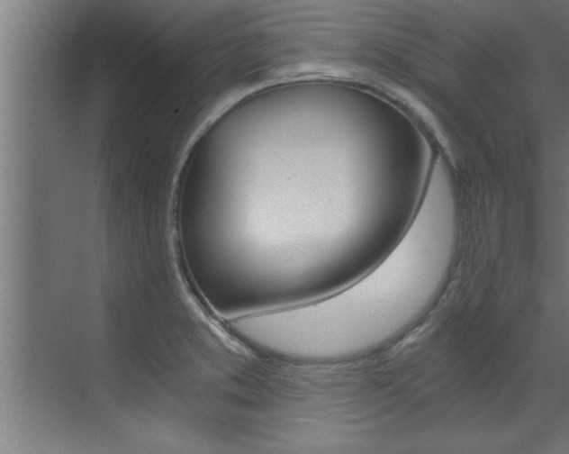 X0000072931373200607210921