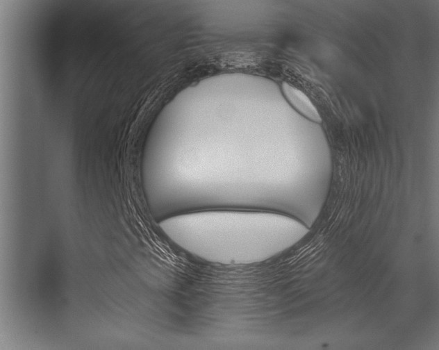X0000072931393200607210920