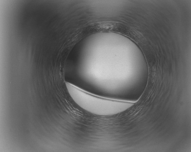 X0000072931394200607210920