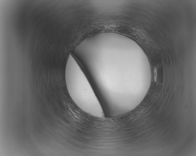 X0000072931395200607210920
