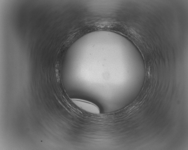 X0000072931396200607210920