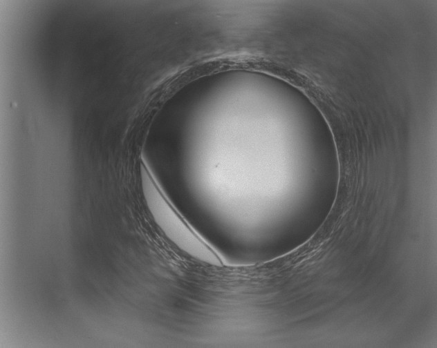 X0000072931398200607210920