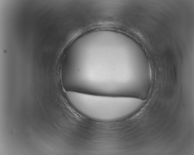 X0000072931405200607210920
