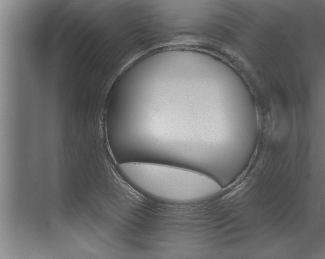 X0000072931409200607210920