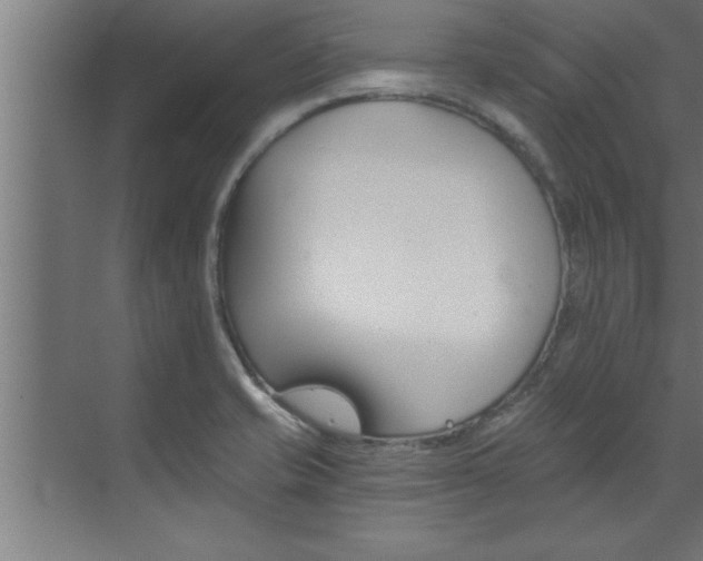 X0000072931421200607210920