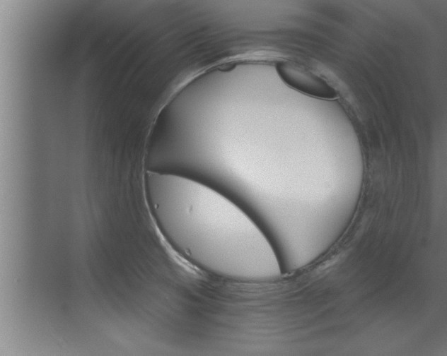 X0000072931425200607210920