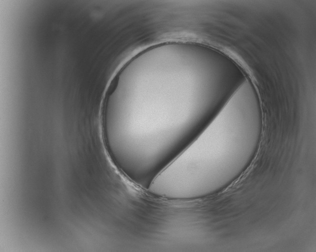 X0000072931440200607210920
