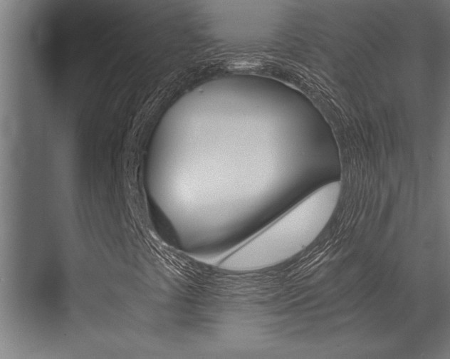 X0000072931441200607210920