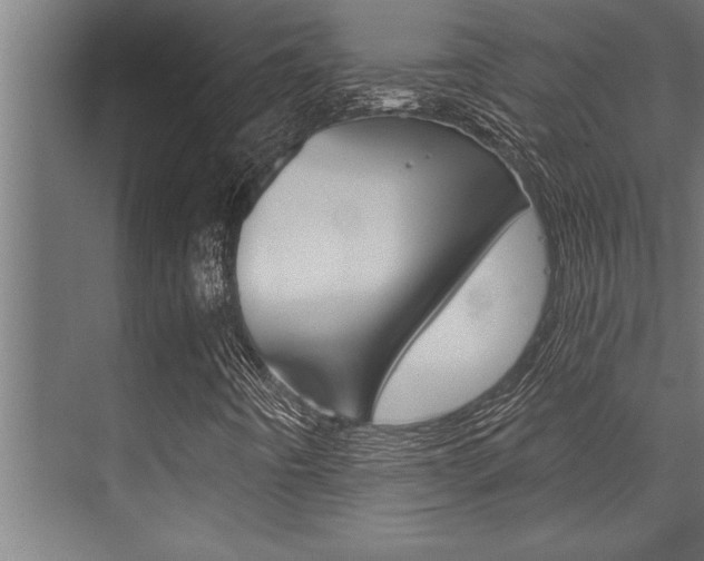 X0000072931442200607210920