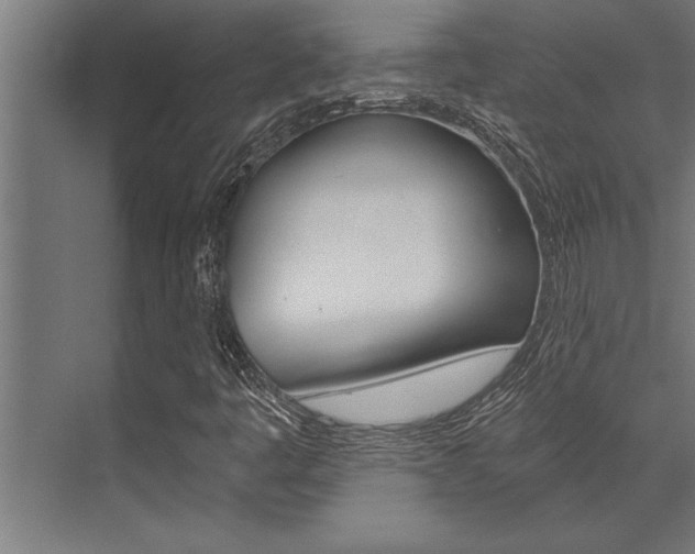 X0000072931445200607210920