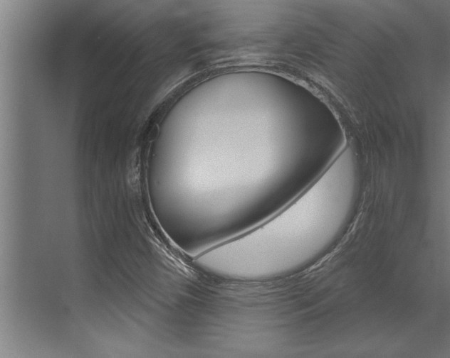 X0000072931450200607210920