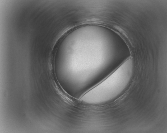 X0000072931458200607210919