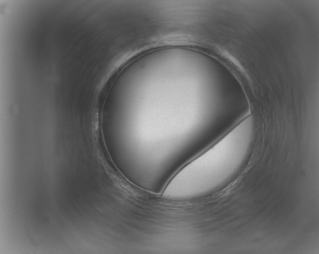X0000072931461200607210919