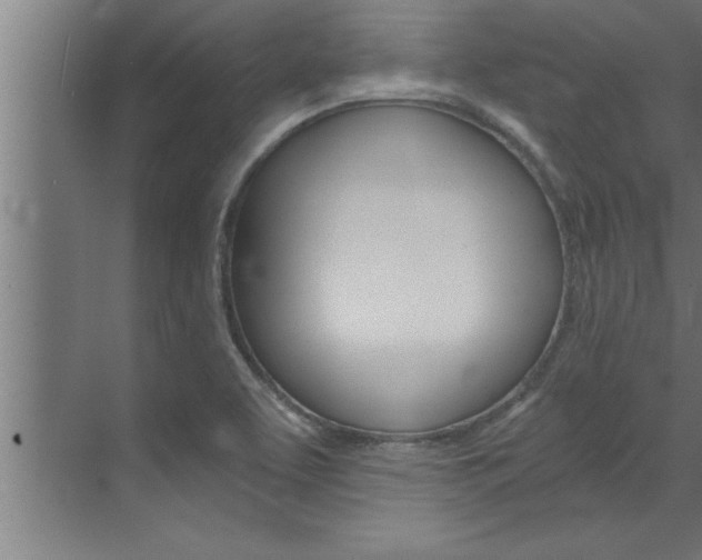 X0000072931463200607210919