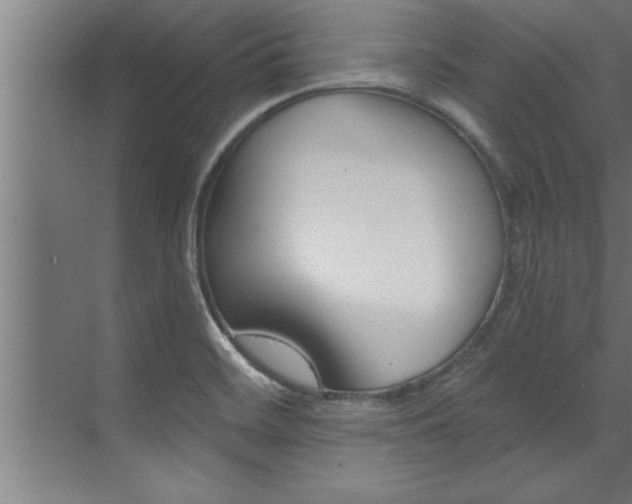 X0000072931468200607210919